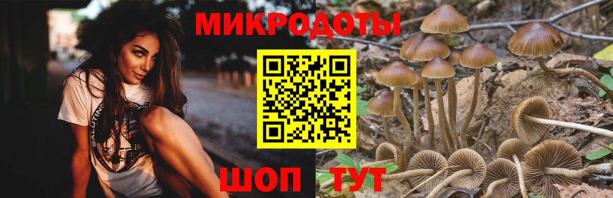 Псилоцибиновые грибы Magic Shrooms Похвистнево