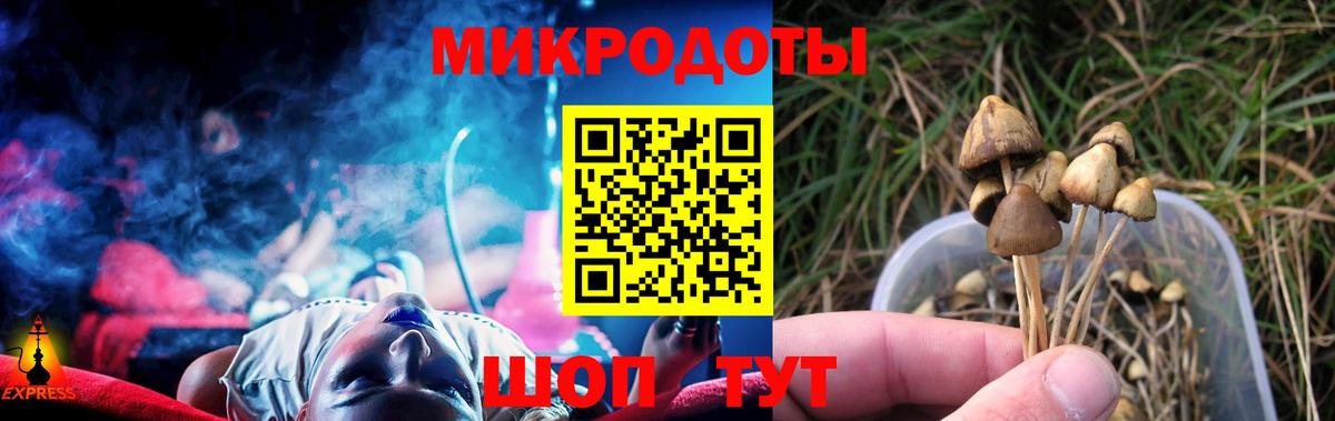 Псилоцибиновые грибы ЛСД  Галлюциногенные грибы ЛСД  Вход с VPN  Похвистнево 